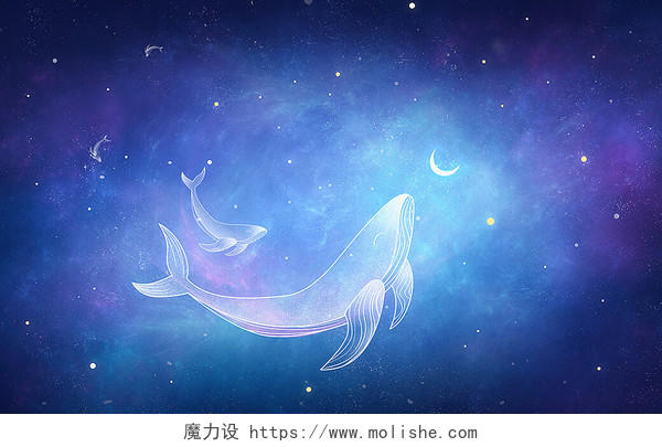 治愈星空中的鲸鱼插画背景天空